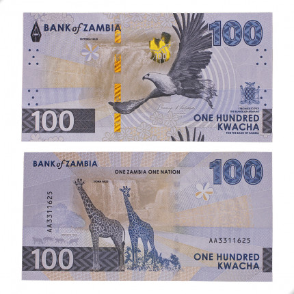Cédula P#W65 100 Kwacha 2024 Zâmbia África FE