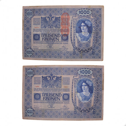 Cédula P#59 1000 Kronen 1919 Austria Europa MBC