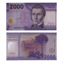 P#162 2000 Pesos 2009 FE Chile América Polímero
