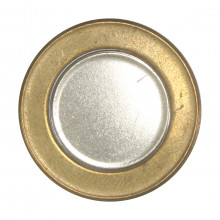 Moeda V-574 à V-596 1 Real 2002 à Atualmente Disco Liso C/ Corte e C/ Banho de Bronze Bimetálico Ø27mm 7gr.