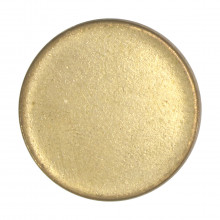 Moeda V-491 à V-517 10 Centavos 1998 à Atualmente Disco Liso Aço Revestido de Bronze Ø20mm 4,8gr.