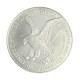 Moeda KM#746 One Dollar American Eagle Silver Dollar Onça 2024 FC USA América Prata 0.999 Ø40mm 31.1gr.