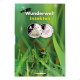 Álbum de Moedas Alemãs 5 Euros Coleção "Wunderwelt Insekten" Reino dos Insetos 9 Moedas