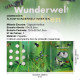 Álbum de Moedas Alemãs 5 Euros Coleção "Wunderwelt Insekten" Reino dos Insetos 9 Moedas