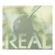 Folder Encarte para Cédula de 1 Real Descritivo